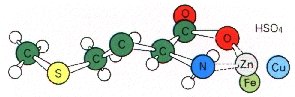 metrace structure